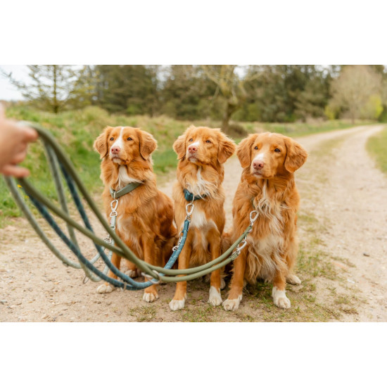 Trixie zgardă Premium aqua pentru câini, XS-S, 22-35 cm/15 mm